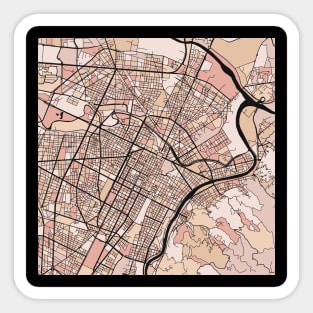 Turin Map Pattern in Soft Pink Pastels Sticker